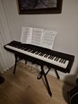 Yamaha P-125, Digital Piano