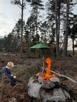 Tentsile Stingray 