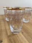 Sergel vatten/whisky glas