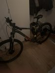 Mountainbike Analog HD RLO SX12 24