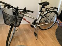 21 växlad cykel