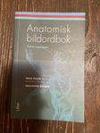 Anatomisk bildordbok