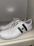 Lacoste Lerond 119