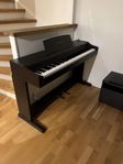 Celviano piano Model: AP-25V