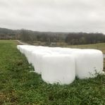 HELSÄDES ENSILAGE SÄLJES