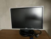 Asus 19” Monitor