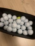 Golfbollar Pro V1/X (2023/24) 