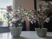 Japanska bonsai blommor i glas