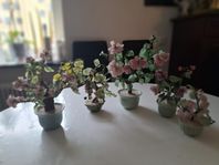 Japanska bonsai blommor i glas