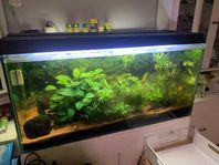 akvarium ca350L