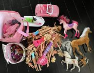 21 Barbies med tillbehör 