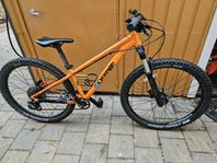 Mountainbike Orange Zest sam Cube Acid SL