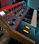 Moog Sub 37 Tribute edition