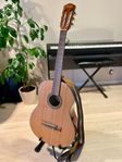 Klassisk akustisk gitarr - Fender FC-100