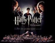 En biljett till Harry Potter Live in Concert