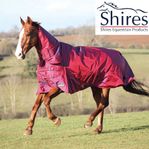 Shires stormcheeta strl 145