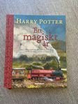 Harry Potter bok ett magiskt år