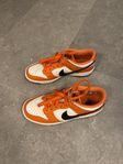 Nike Dunk skor