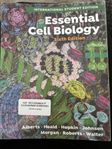 Essential Cell biology(ny)