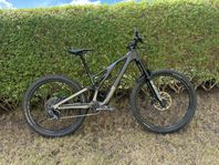 Specialized Stumpjumper EVO Ltd AXS (inkl. 29er link) 