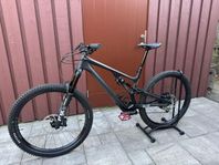 Specialized Stumpjumper EVO Expert 29” S5