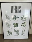 Tavla "Herbs" 50x70