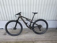 Specialized Epic Evo (Medium)