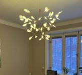 Heracleum taklampa led- 45 ledlampor