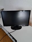 benQ 24"