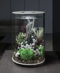 BiOrb Tub akvarium, 30l, svart