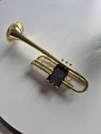 C-trumpet: Carol Brass CTR-4000H-YSS-C-L