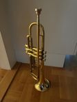 Trumpet Dixon WBT600