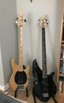 Music Man StingRay Bass -79