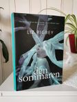 Ny roman av Liz Rigbey