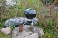 Grill Weber