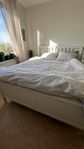 Ikea Bed incl matress 160*200 for sale due to move out