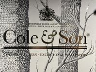 Cole &Son