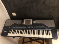 KORG PA800