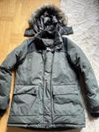 EVEREST J Kong Parka Green/Black