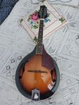 Jättefin mandolin