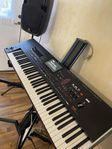 korg Pa 4x