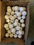 26 titleist