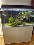 Unikt 360L akvarium optiwhite rimless Eheim ytterfilter LED