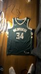 giannis Nike NBA jersey