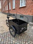 Cargo Bike delight MOD:2021