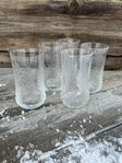 5 Glas Koivu Iittala h 12.5 cm dricksglas