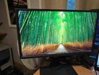 BenQ XL 2456K 240hz DyAc 1080p