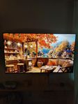 TCL 55  C835 4K MiniLed Smart-TV