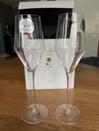 champagne glas Eisch glas