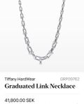 Tiffany Hardware Graduated Link Necklace